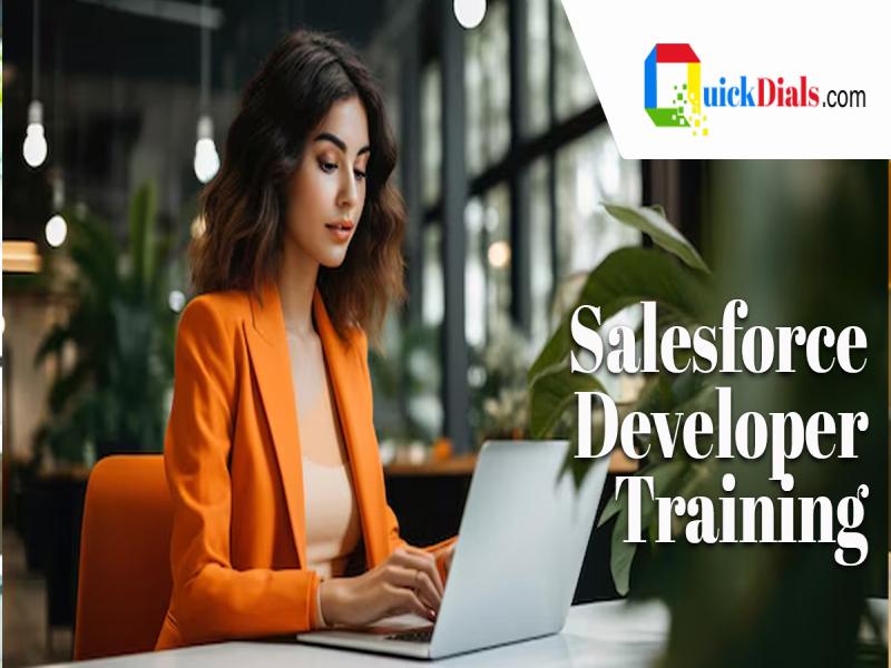 Salesforce Developer